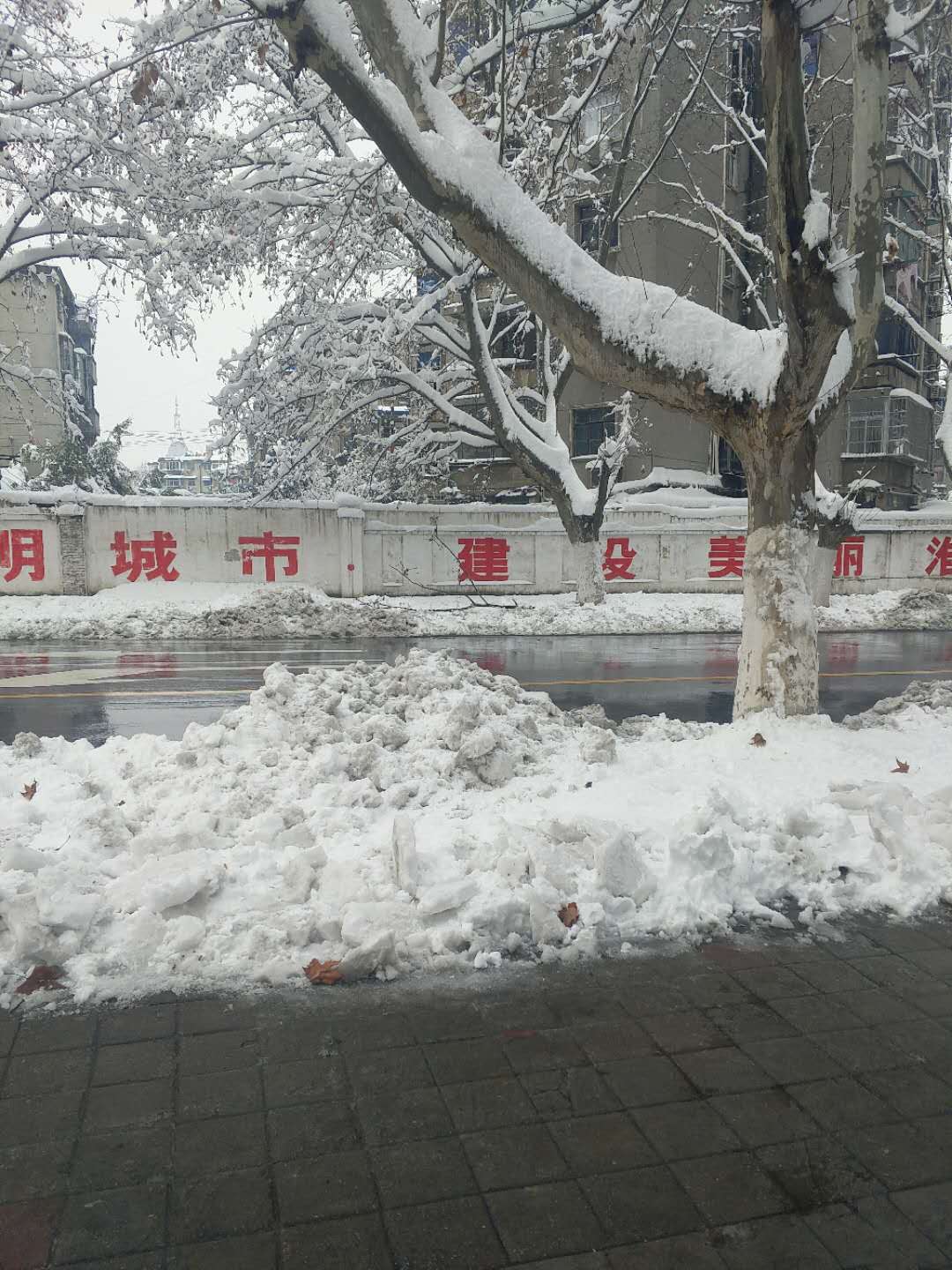 洞泉小区一室一厅普装出售_9