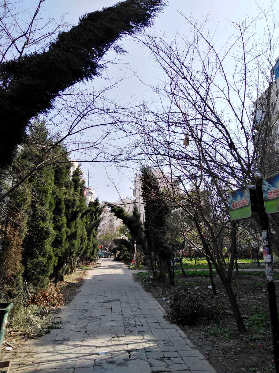 东苑小区西区 126平 南向精装三居 满两年 学区房_23