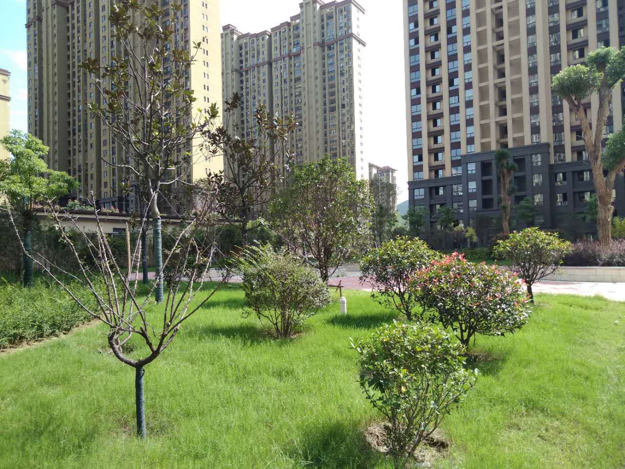 上郑广场毛坯两室两厅诚心出售洞山中学东校区_8