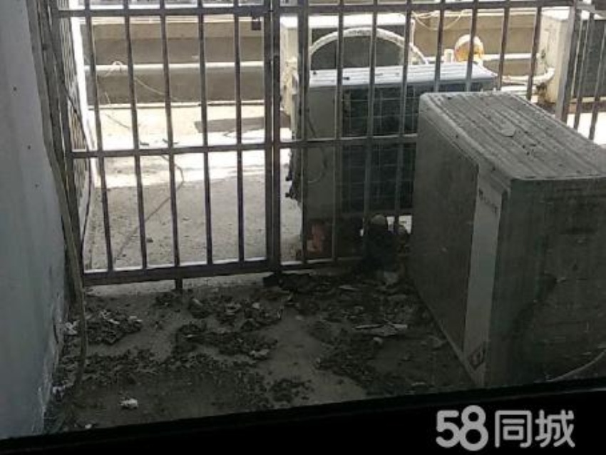 西城国际 83平 南向两室精装 满两年 单价仅3253元/平_16
