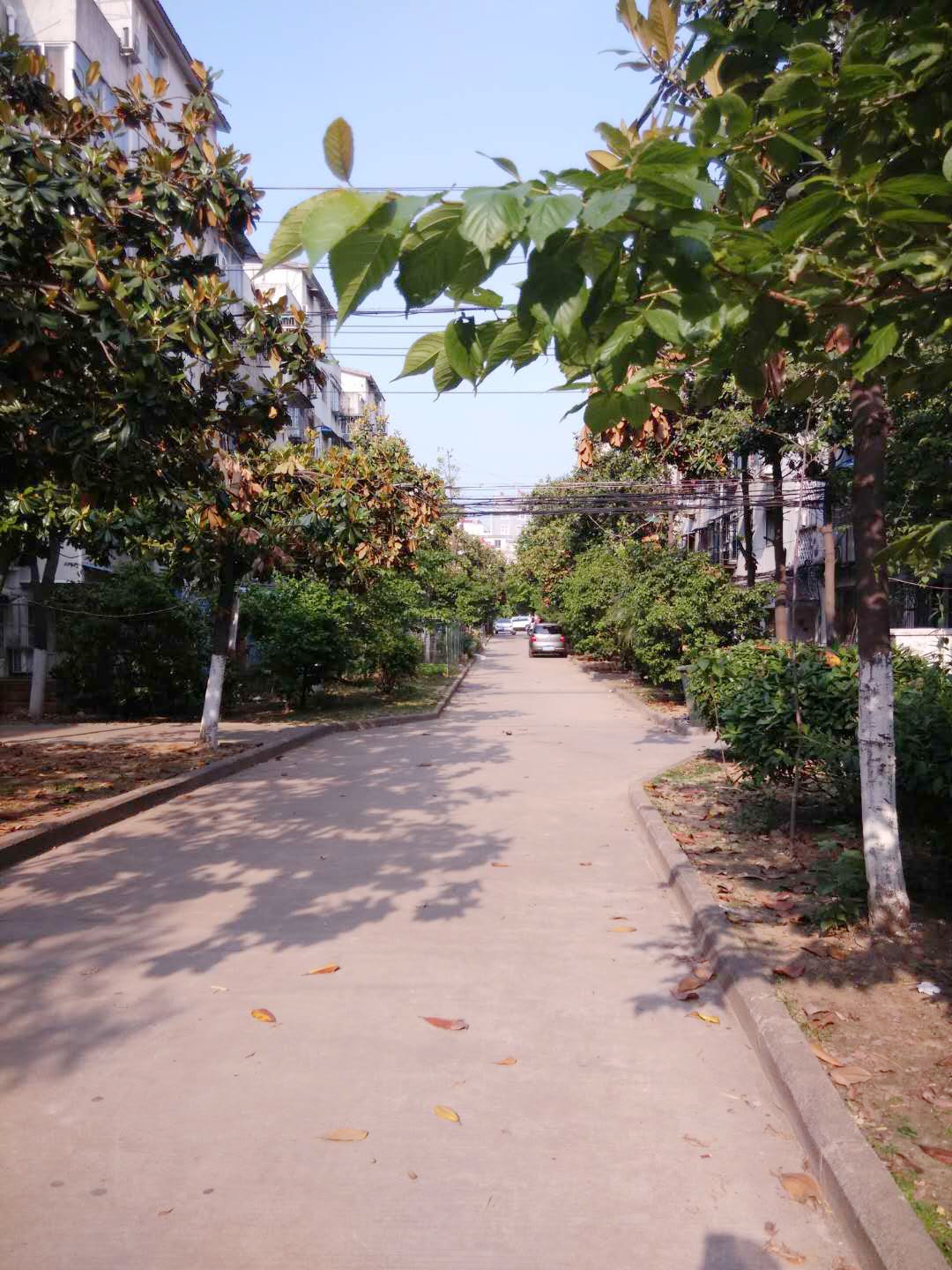 龙泉北村95平方3室朝南家电齐全拎包即住诚心出租_8