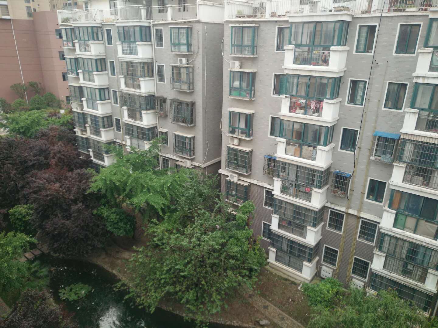 学府春天4室好房急售_14