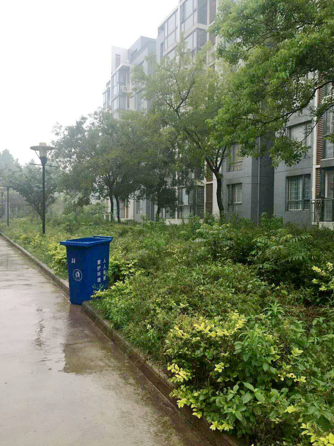 金岭新村，6跃7精装修，前后4个平台，看房方便_13