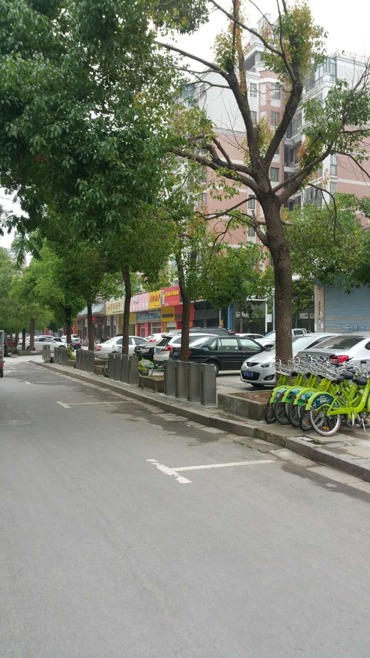 银鹭万树城 33平 临街旺铺 简装 优质地段_4
