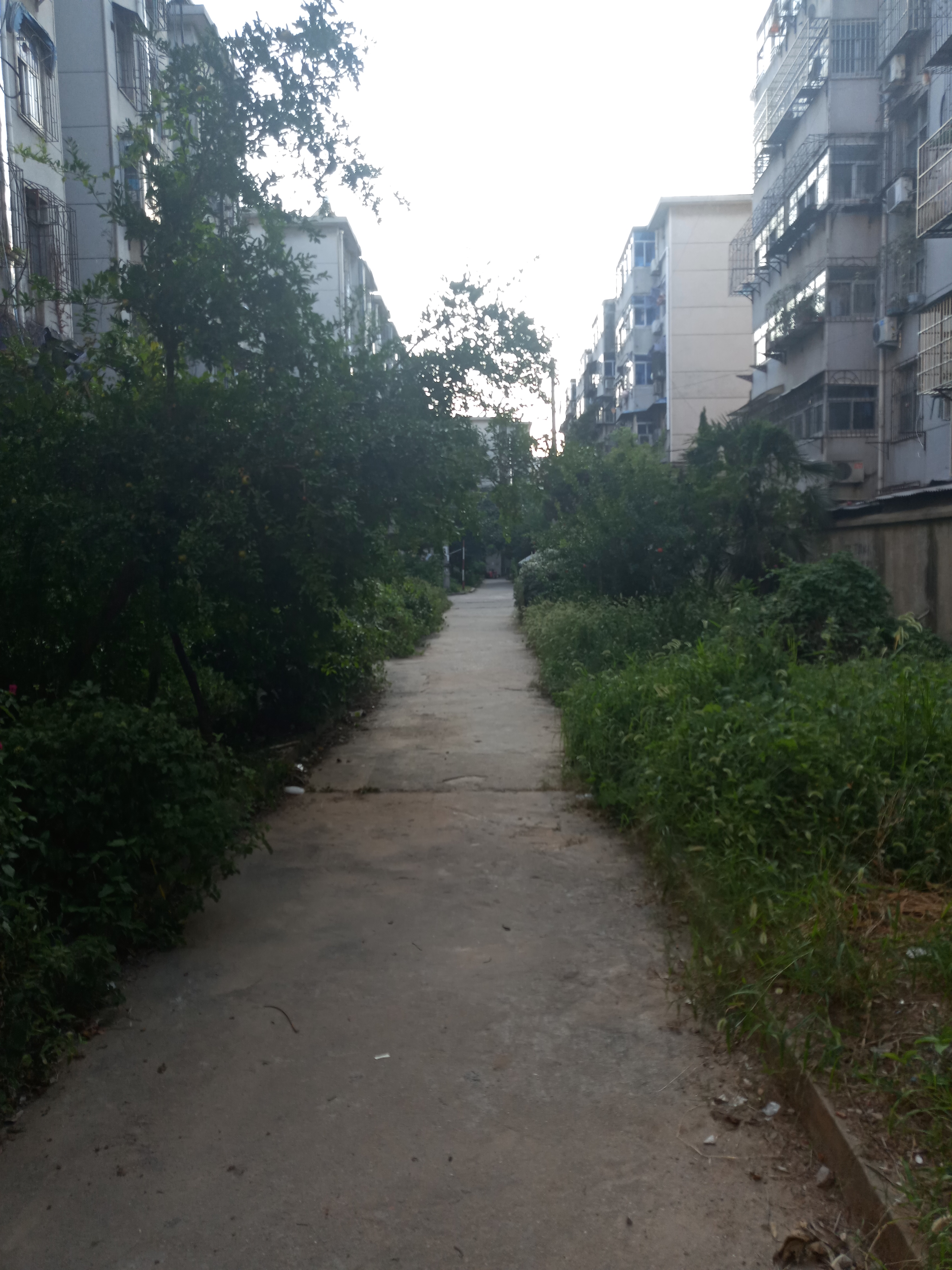 洞二小学区 裕安小区2室1厅普装出售_10