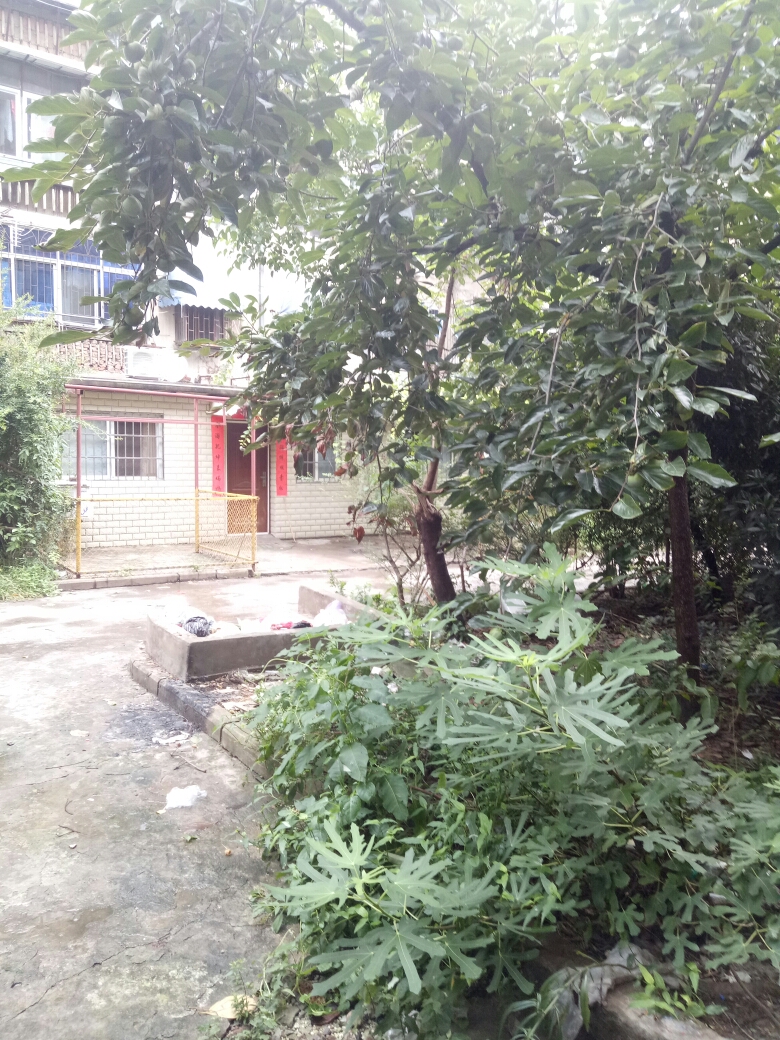 前锋一村 79平 南向三室一卫 交通便利 随时看房_8
