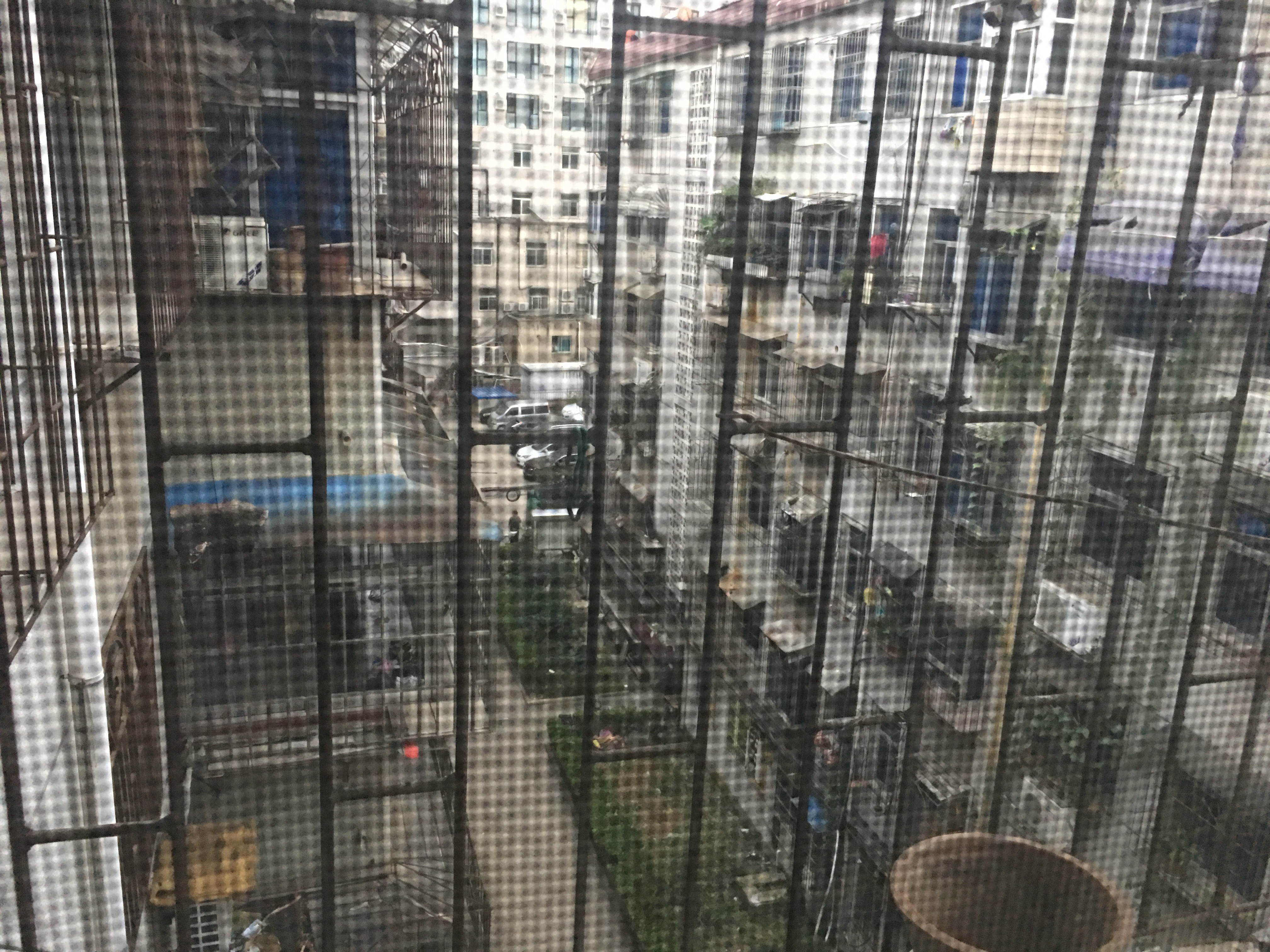 东苑东村_8
