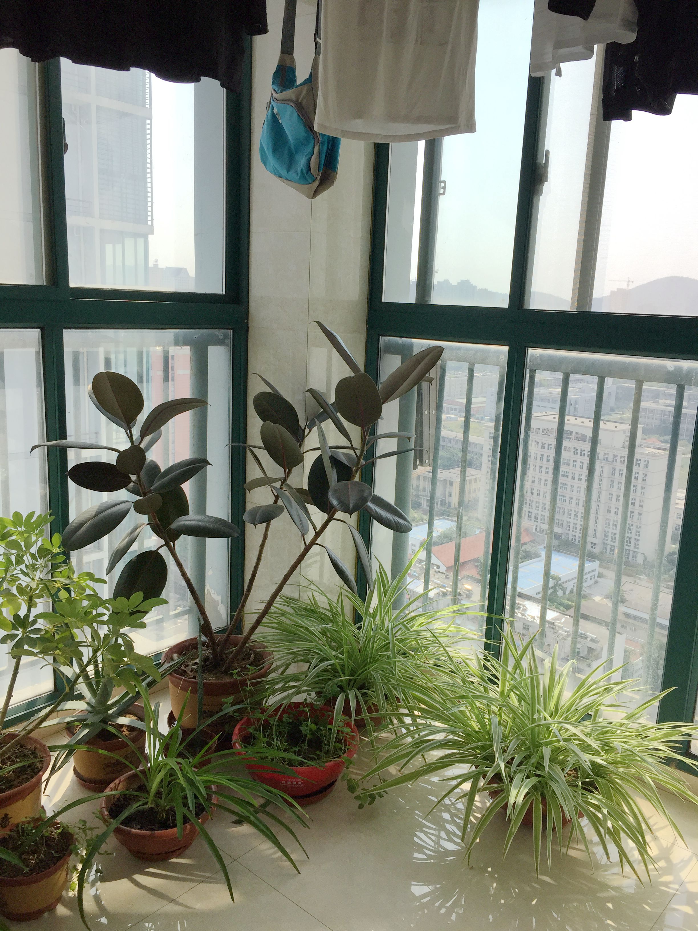 鑫诚花园精装2房出售_5