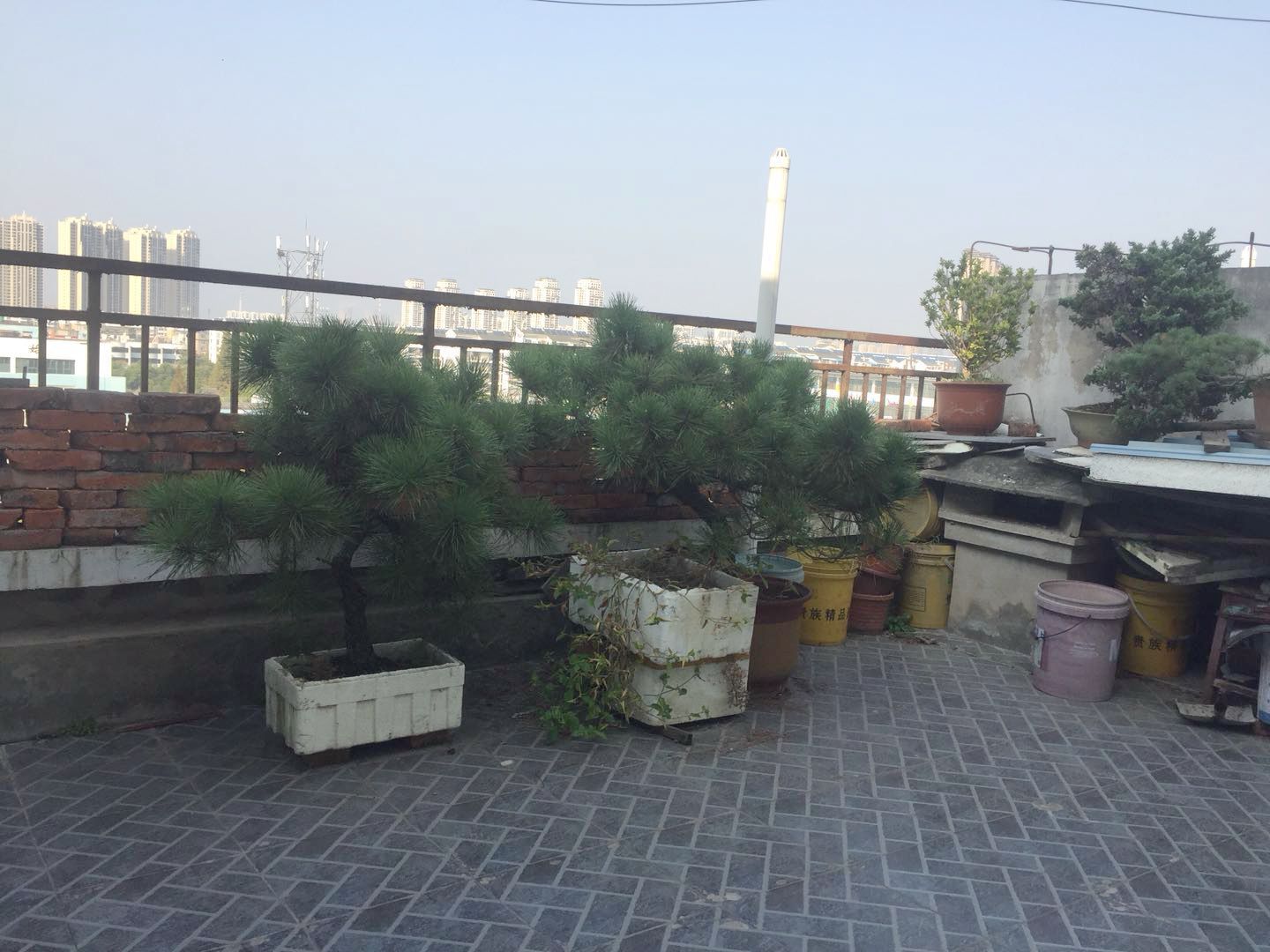 居仁村二区精装四室出售_7