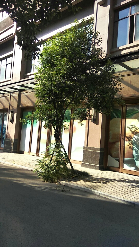 通用商铺 33平 临街旺铺 人流密集 优质地段_4