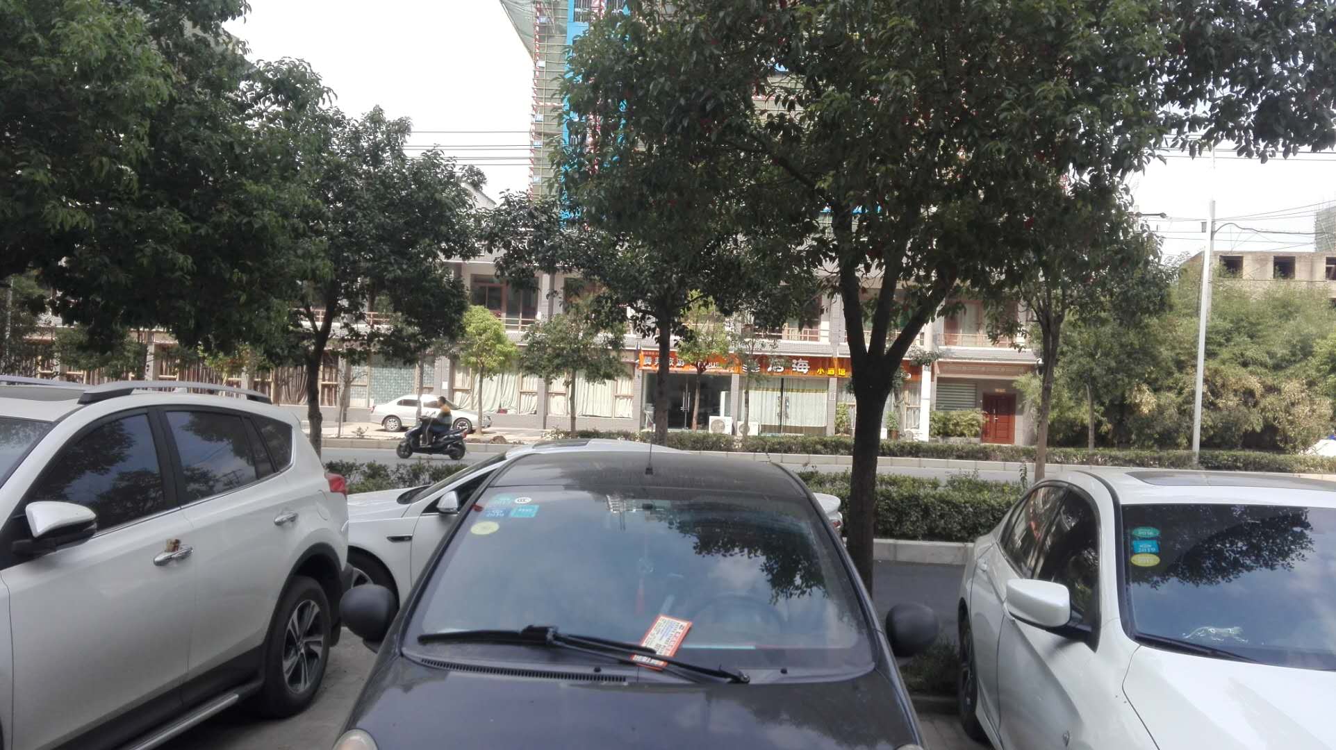 盘古 1室1厅 精装修 急租_8