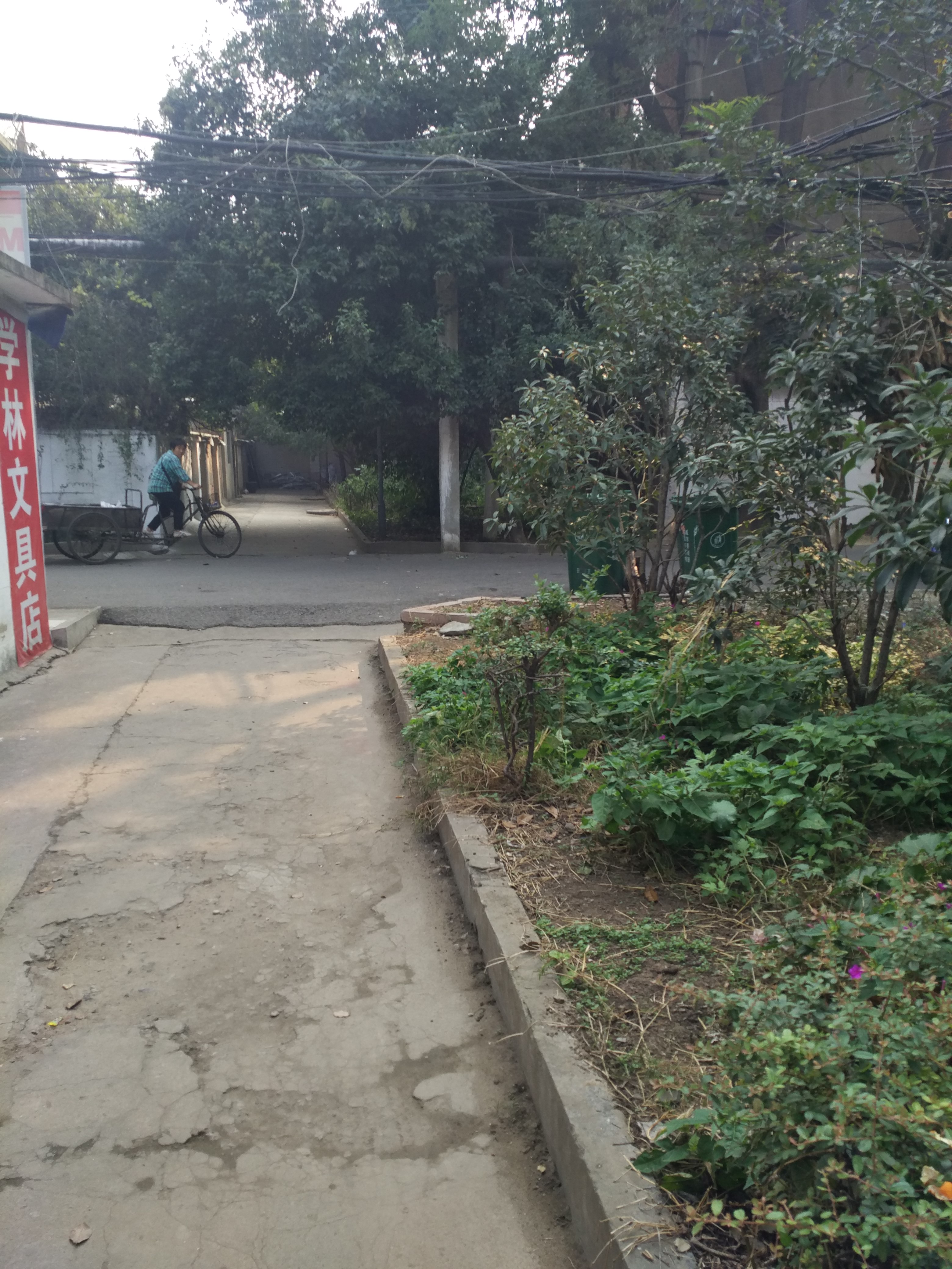 安化村简装出租_11