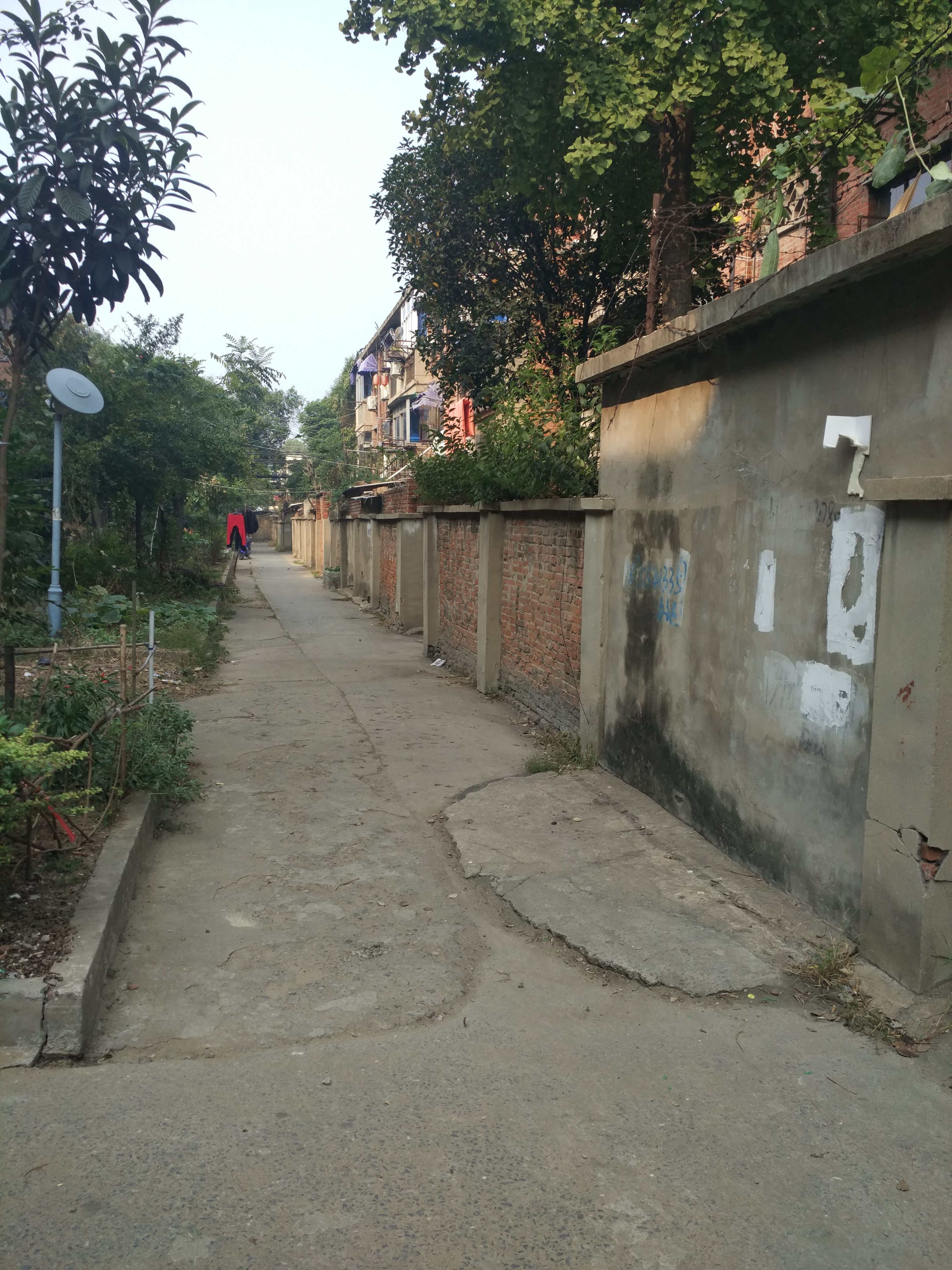 安化村简装出租_12