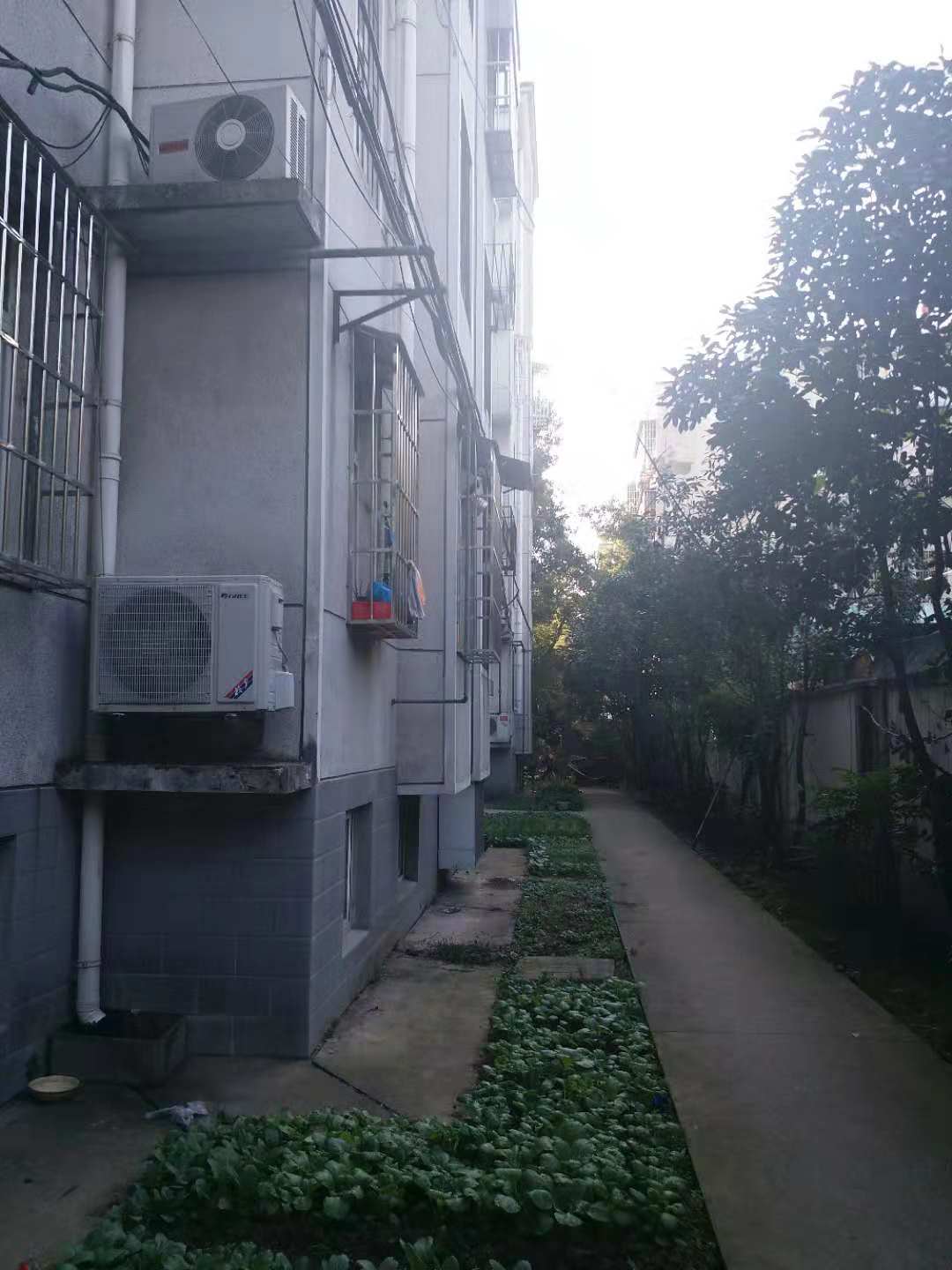 原军分区院内毛坯3室出售_15