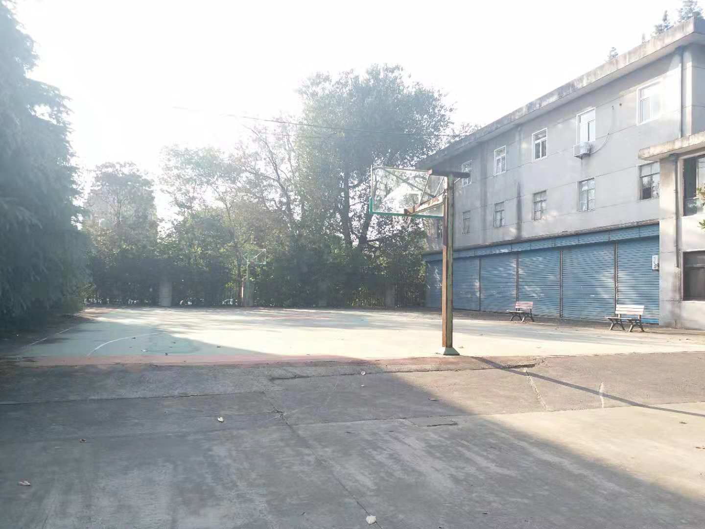 原军分区院内毛坯3室出售_16