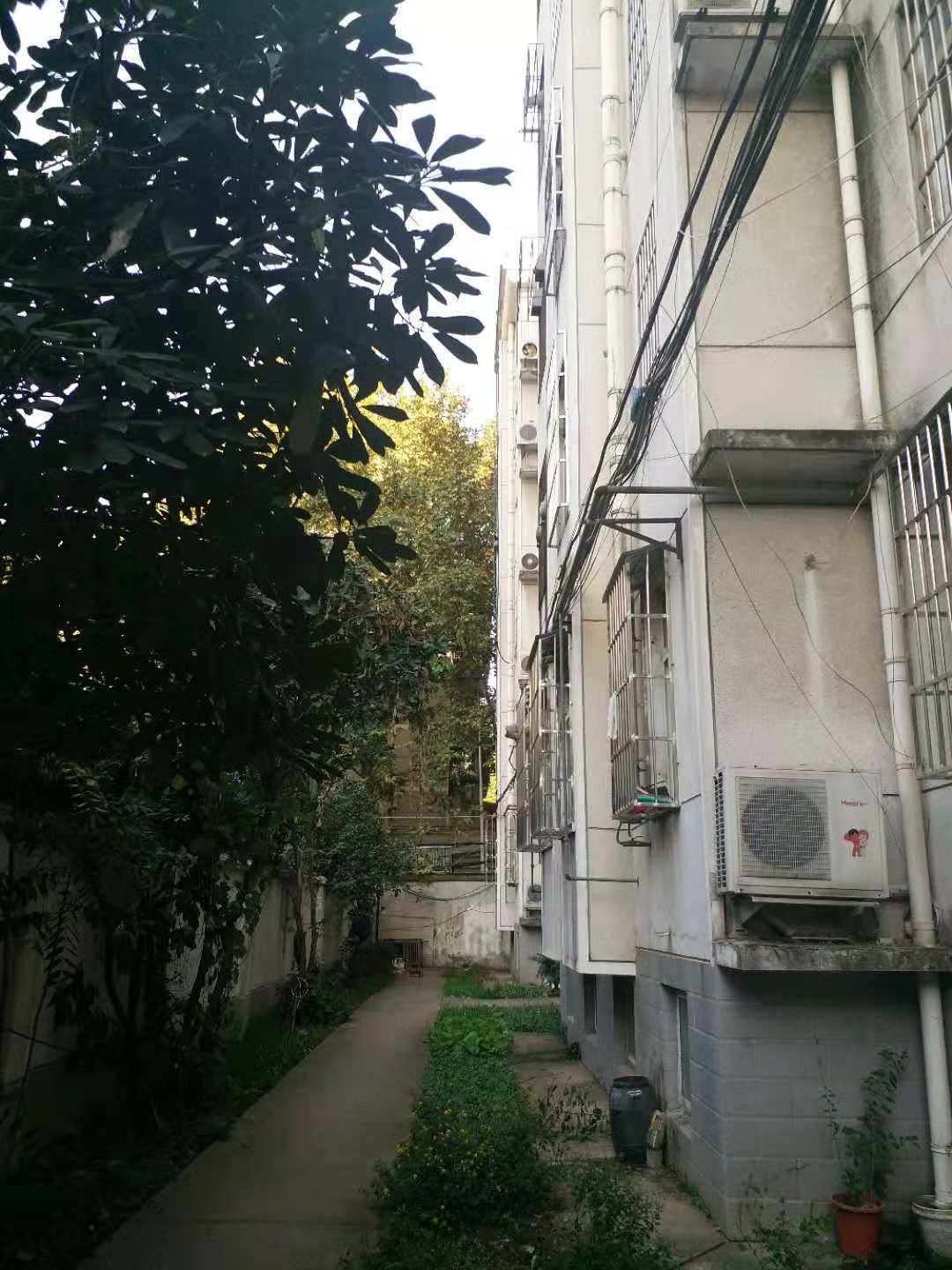 原军分区院内毛坯3室出售_14