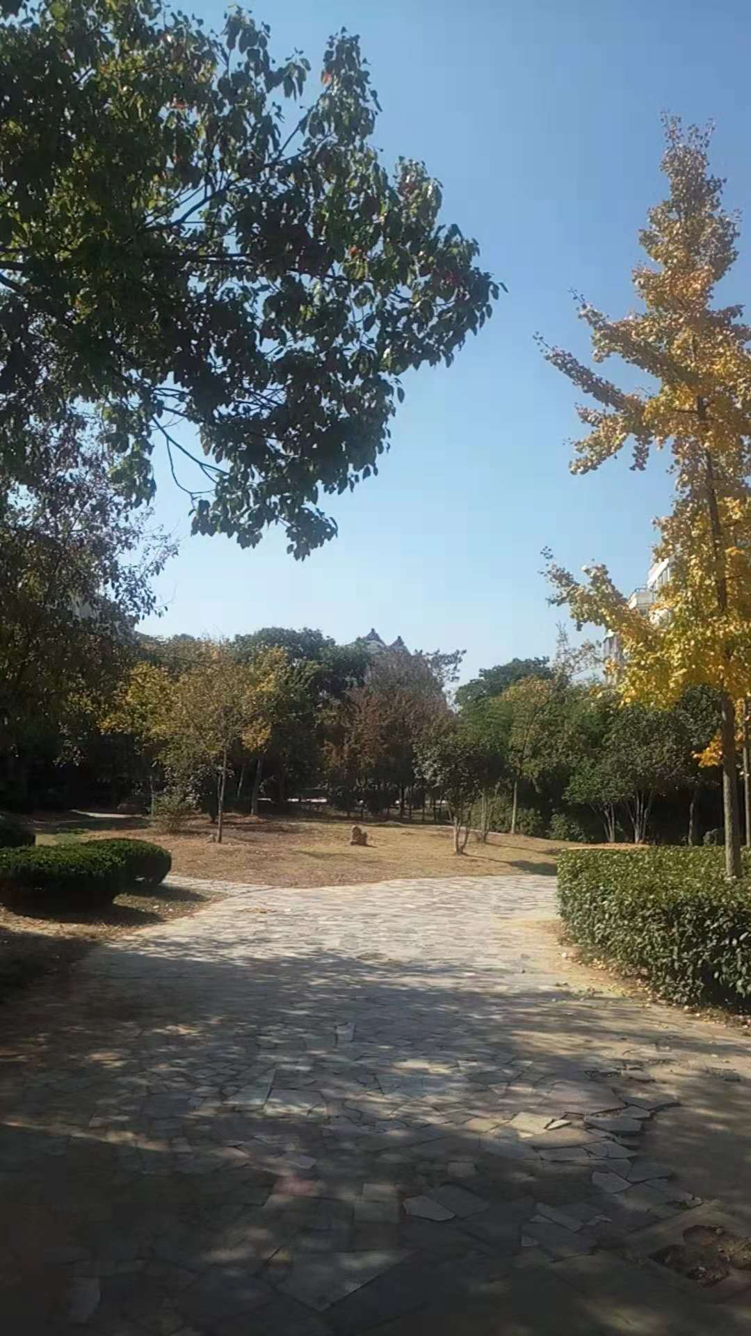 孔李小区78平方3层毛坯房，楼层好！地势佳！_7