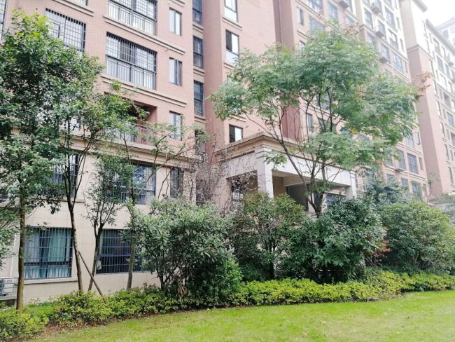 泉山湖兰乔公馆精装11跃12好房出售