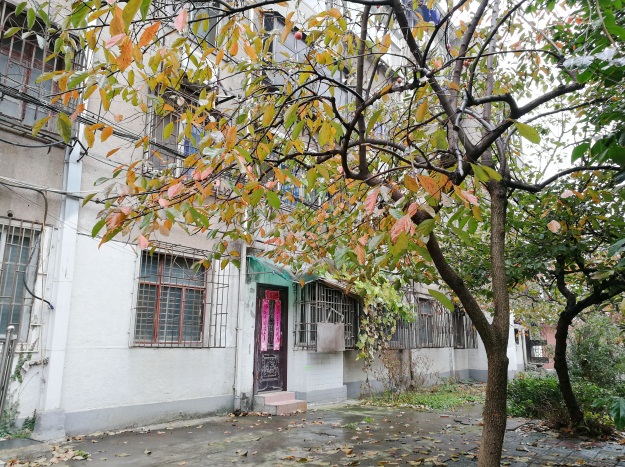 柏园新村多层一楼带前后院子稀缺房源_11