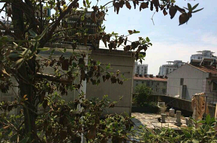 华声苑3室1厅5跃6精装好房出售_15