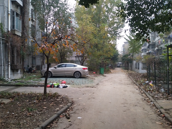 前锋花园 69平 南向两室一厅 免税高楼层采光好_8