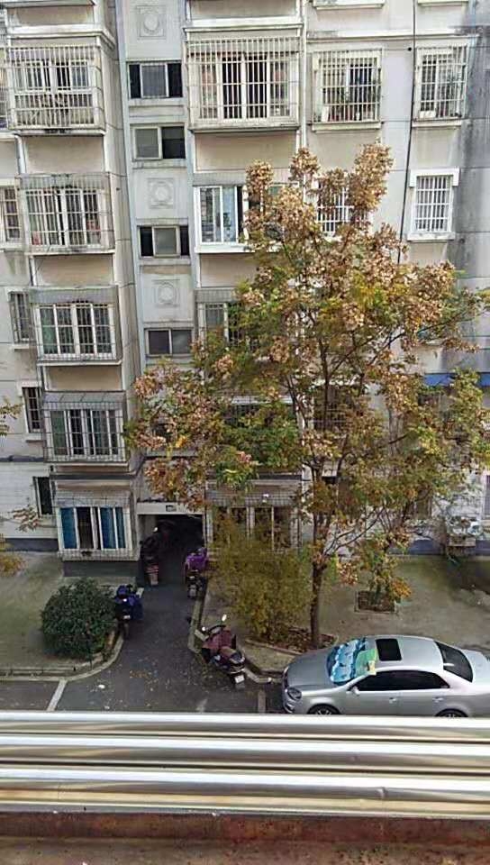 东苑小区西区 97平 朝南三室精装 满两年 交通便利_8