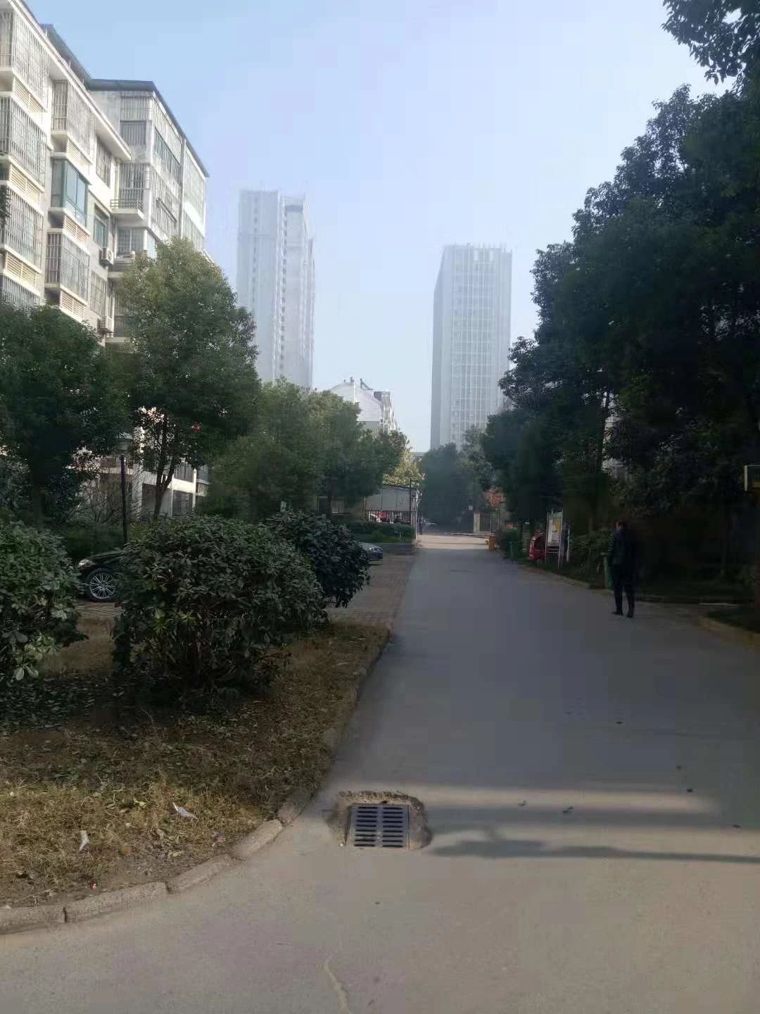 卧龙山庄西区 89平 南向精装两居 学区房 采光好_5