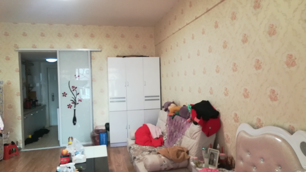 信谊金座1室1厅中装出售_3