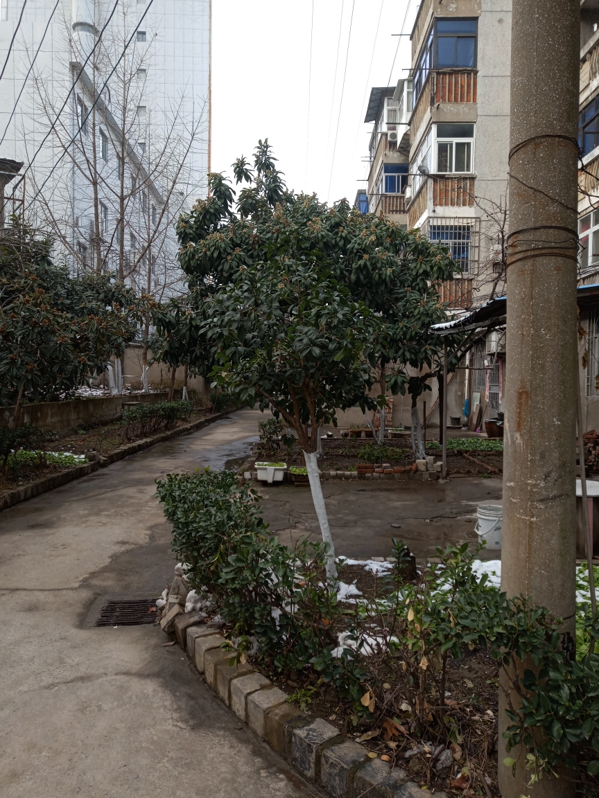 桂苑西区 50平 南北通透两室一厅 学区房 中装高楼层_8