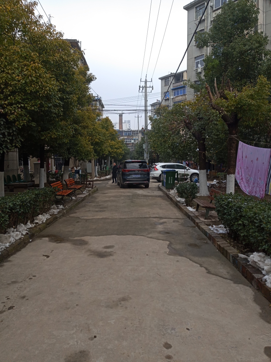 桂苑西区 50平 南北通透两室一厅 学区房 中装高楼层_7