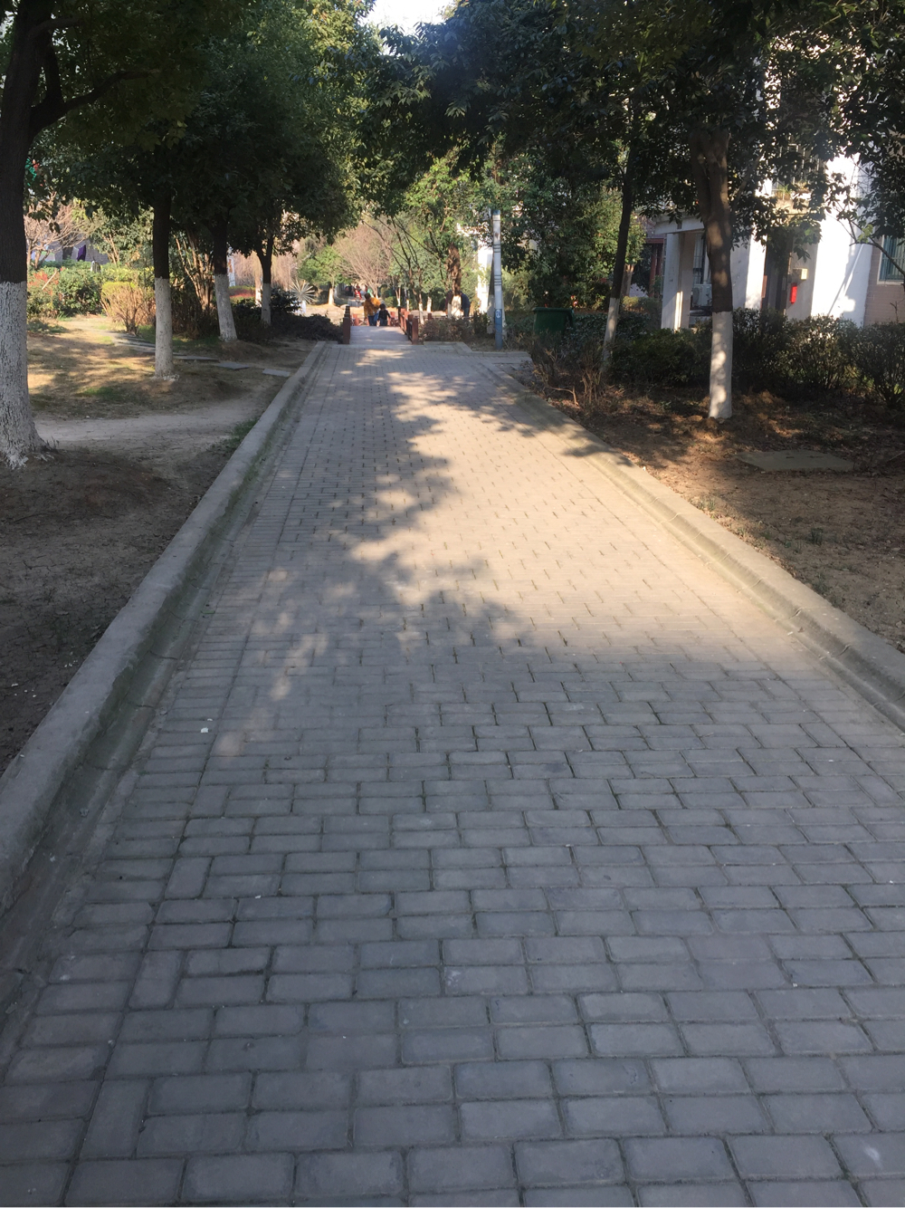 惠利学府春天3室2厅精装修洞二小西校区吉房出售_11