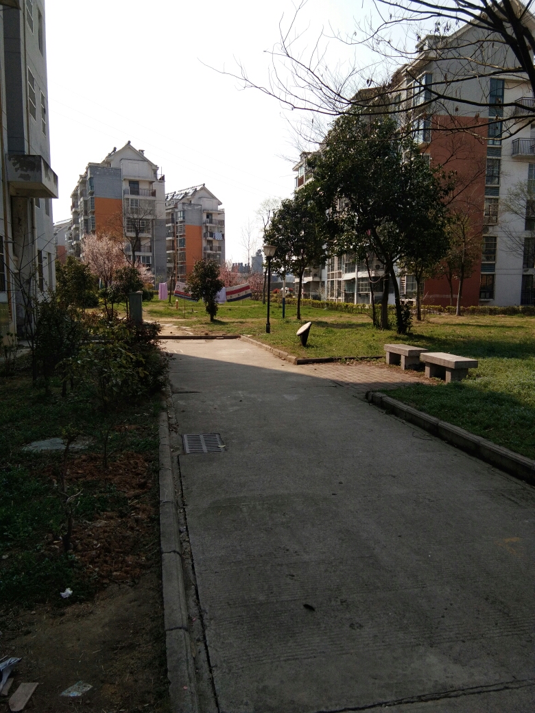 毕家岗新建村B区 99平 朝南精装三室 满五唯一 1608元/平_8