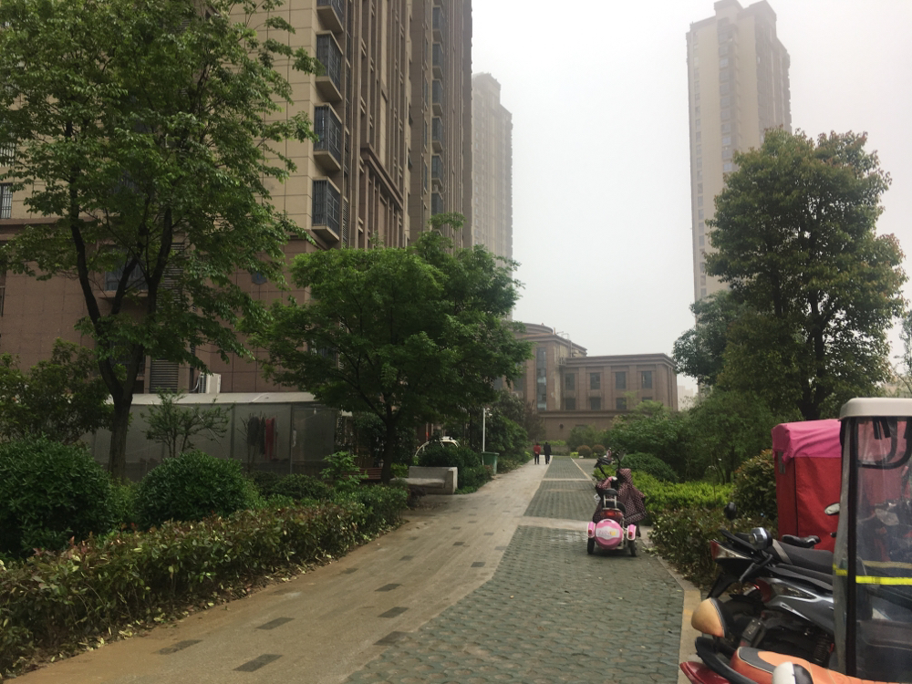 舜耕花都 好房急售-淮南田家庵区租房-安徽淮南朝阳