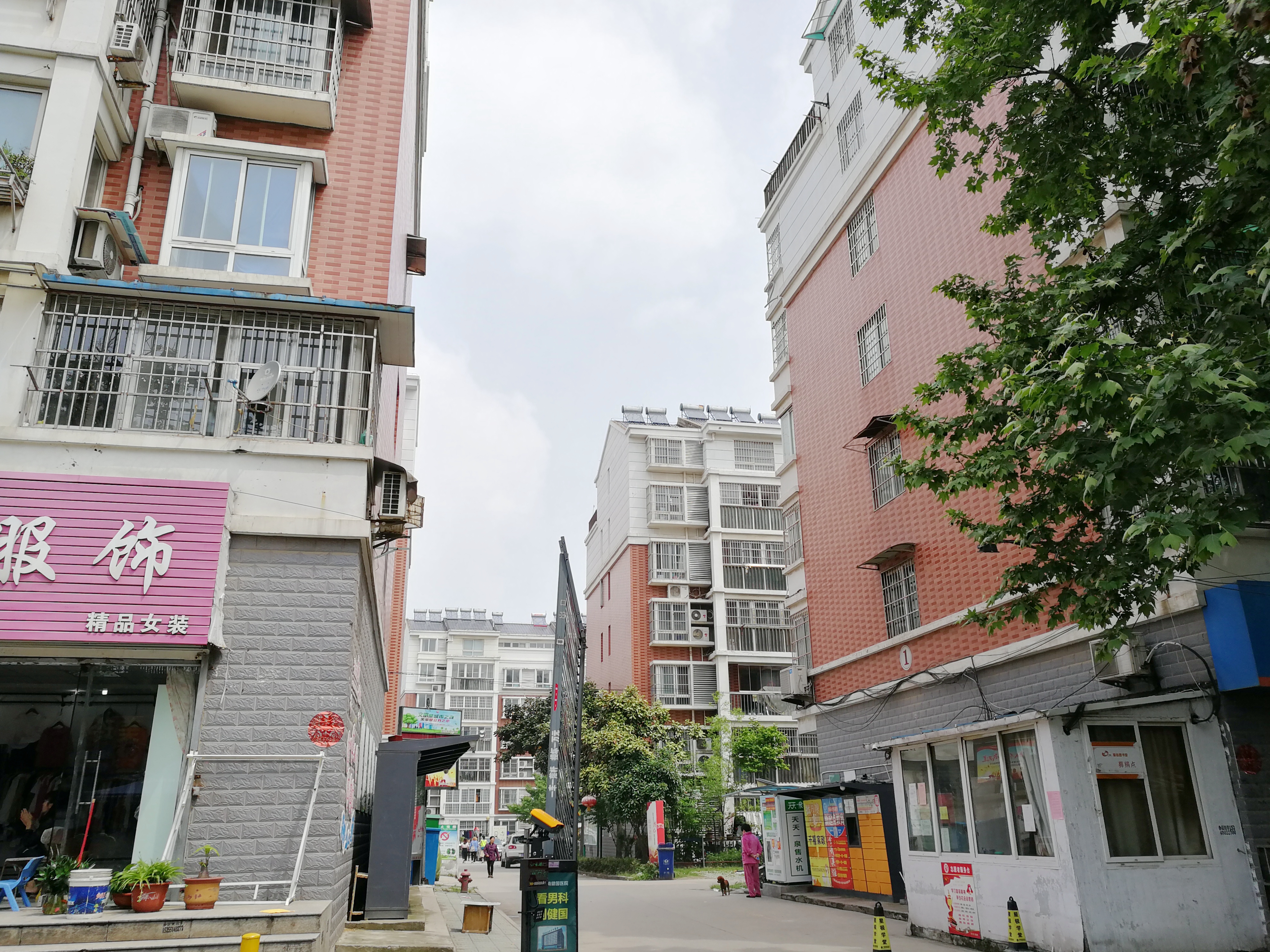 金豪阳光花园2室1厅精装出售多层户型好位置好学区房_9