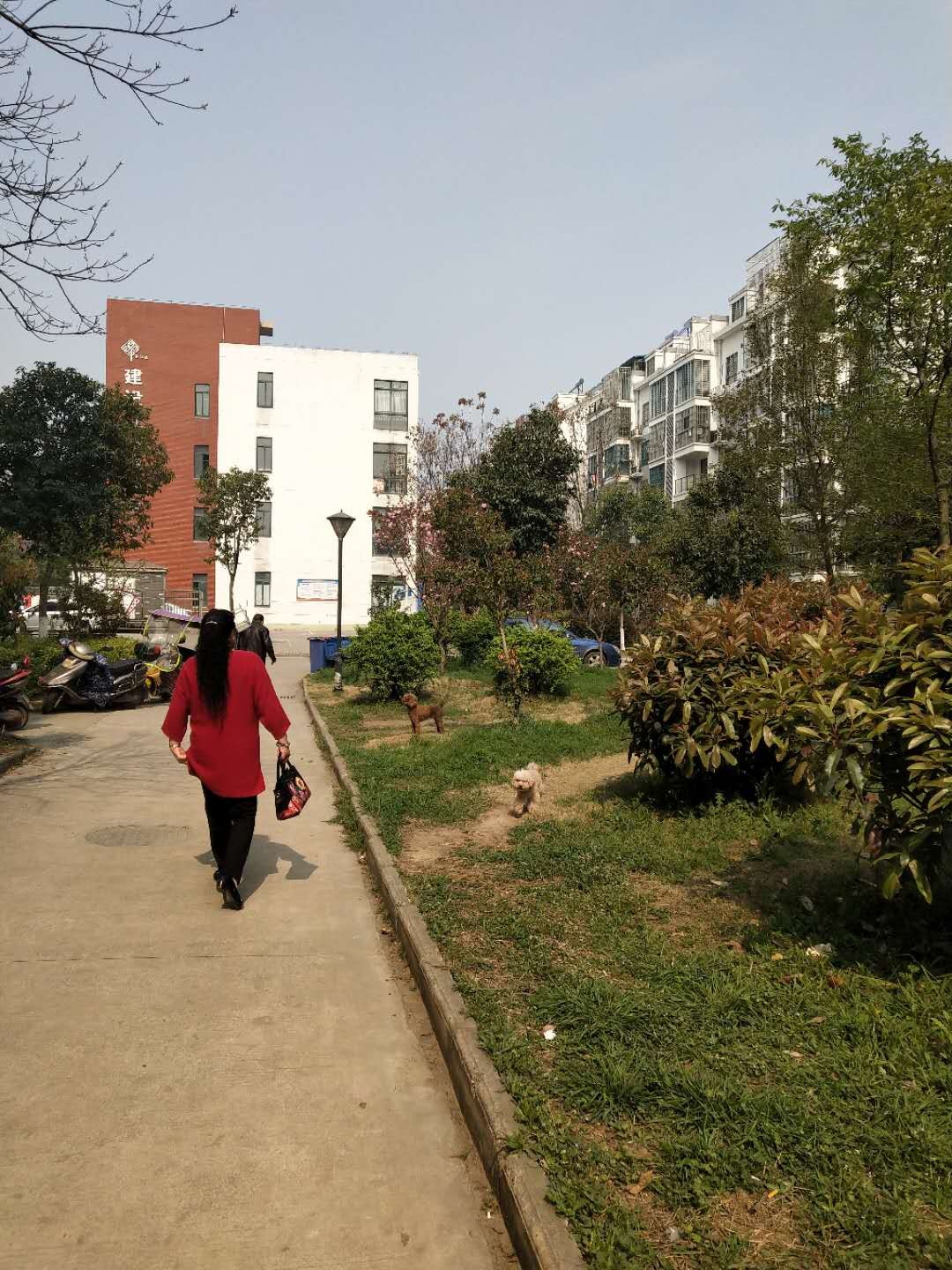 李一矿新建村C区81平方精装修出售_7