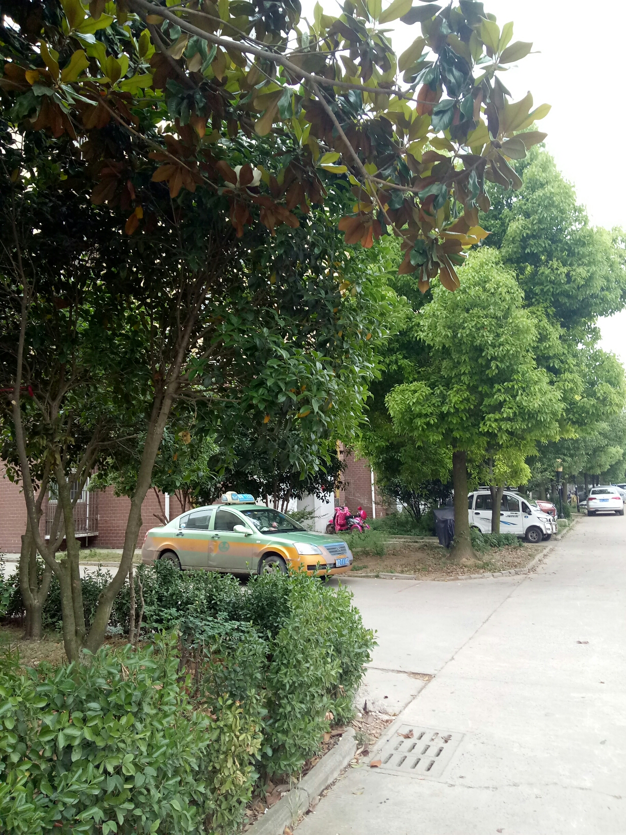 九龙湾3室2厅普装吉房出售_12