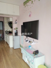 中环国际广场荣府 30平 精装一室 交通便利 学区房 随时看房