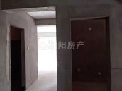 金大地悦府 105平 南向三居 5238元/平 学区房 毛坯
