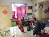 朝阳电力村 59平 南向两室一厅 交通便利 配套齐全