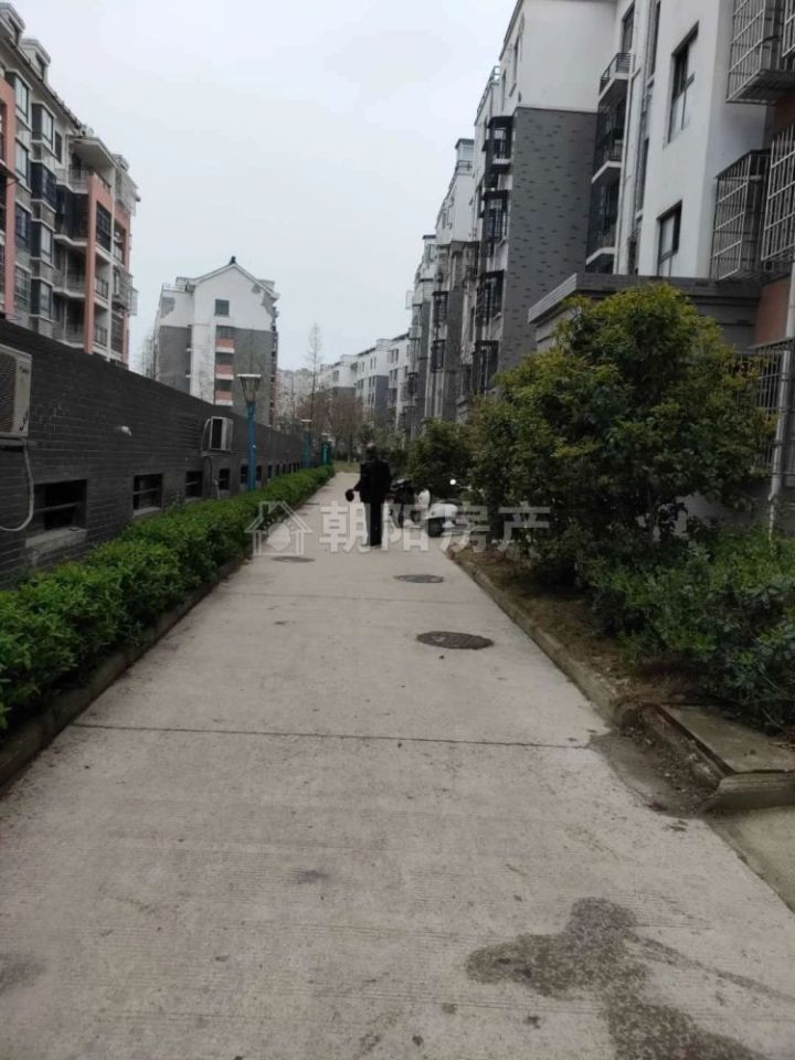 淮南谢家集区租房-安徽淮南朝阳房产网