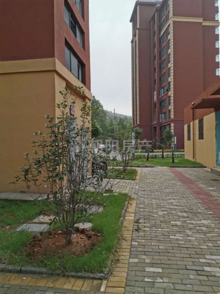 二手房 八公山区 新庄孜街道 劳动村二期(公园名居)