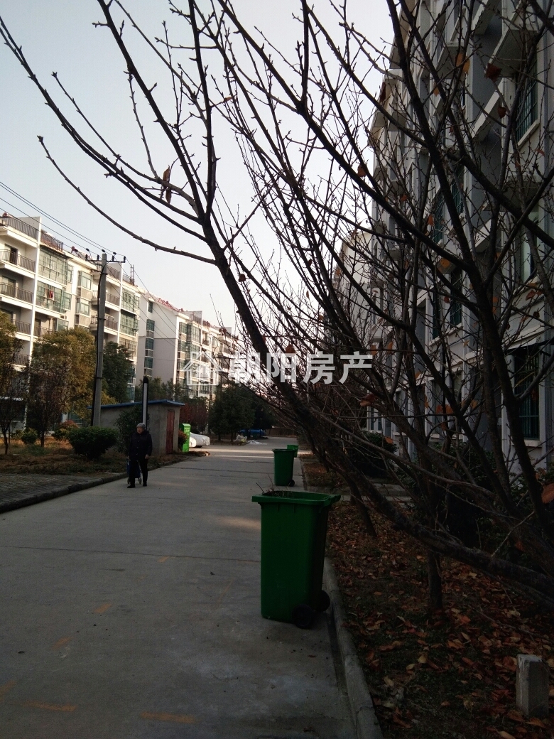 明珠花园 95平 朝南两居 采光好 交通便利 配套齐全