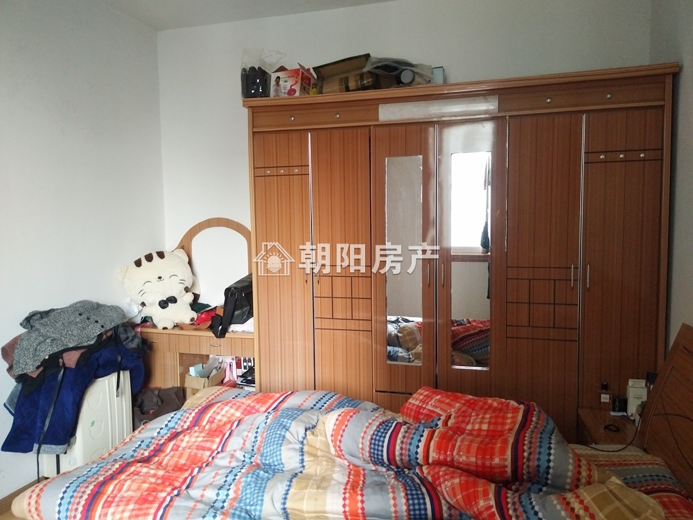 双子星座 53平 南向一室一厅 满五唯一免税 交通便利