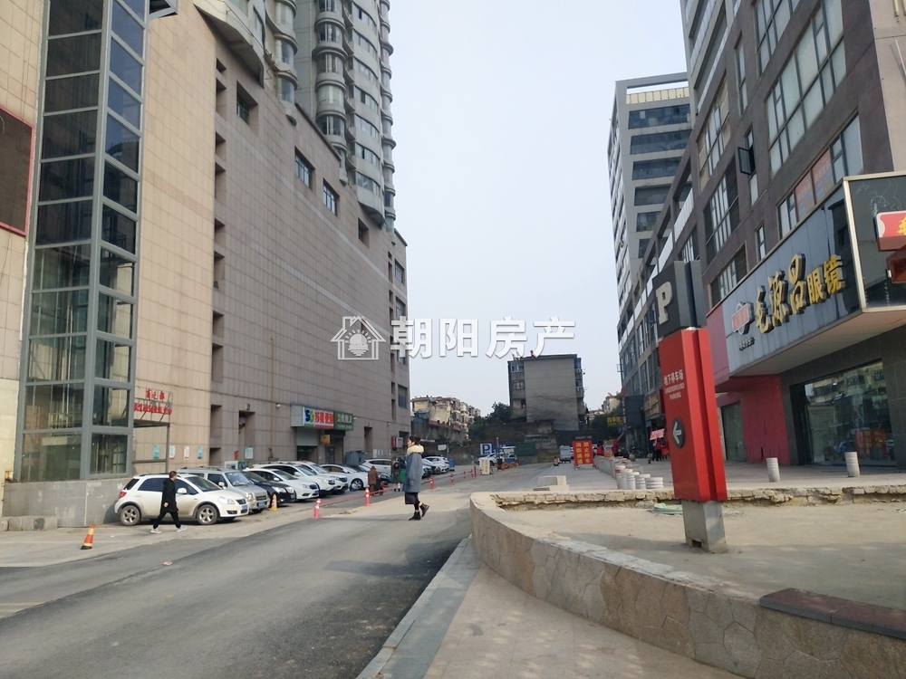 双子星座 53平 南向一室一厅 满五唯一免税 交通便利