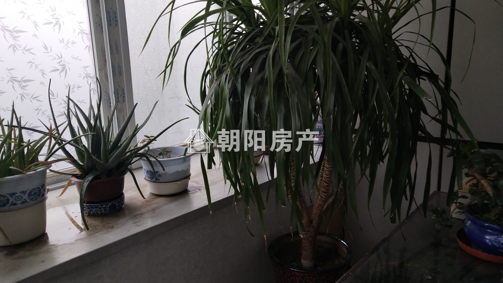 物资新村 75平 朝南双阳台精装 满两年 交通便利