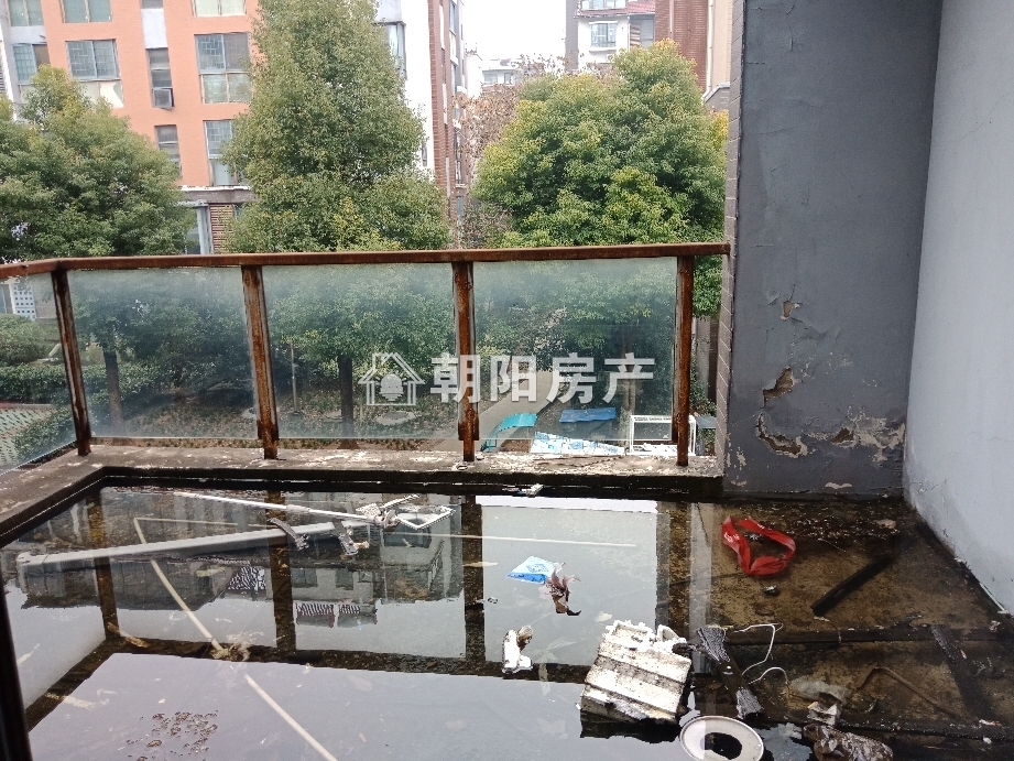 淮河新城二期 134平 南向三居 满五唯一 学区洋房