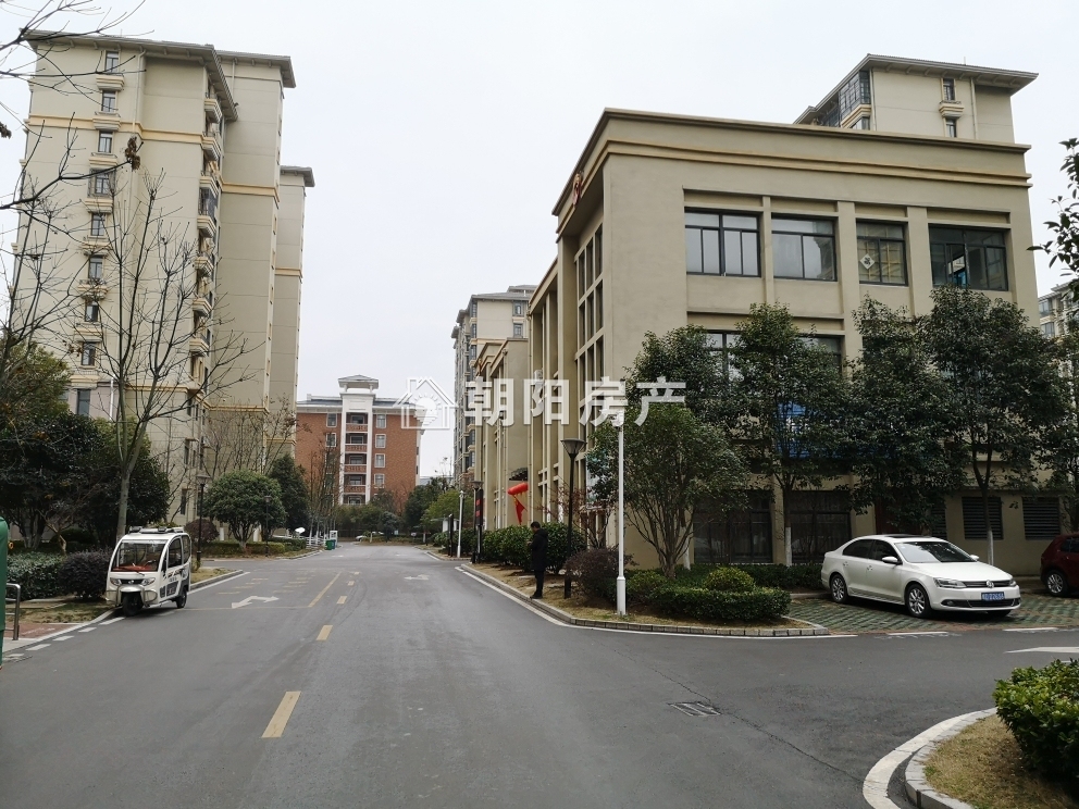 春雨梧桐 115平 南向豪装三室 交通便利 配套齐全