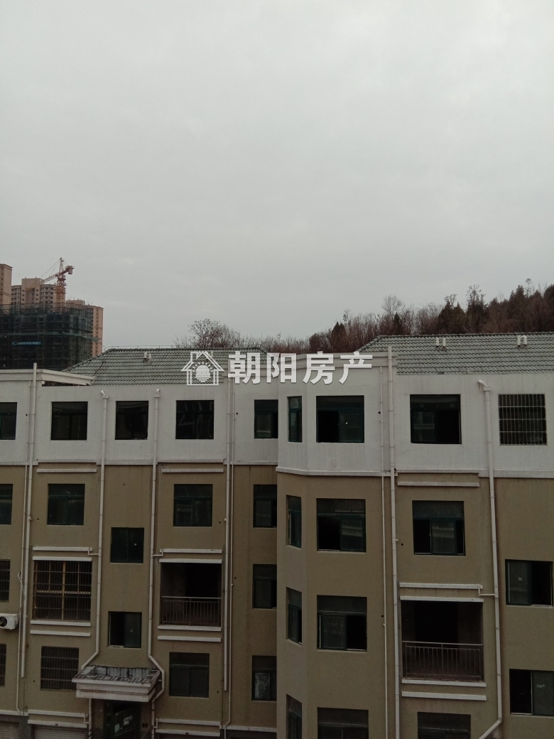 东湖新城 92平 朝南两室精装 满五唯一 采光好