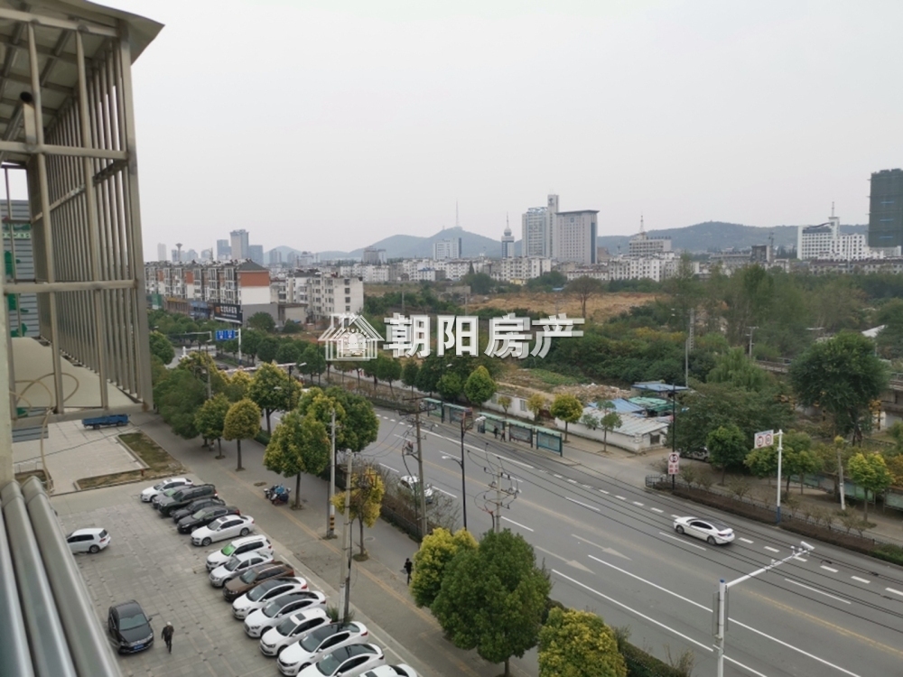 中环国际广场 85平 南向精装两居 满五唯一 学区房