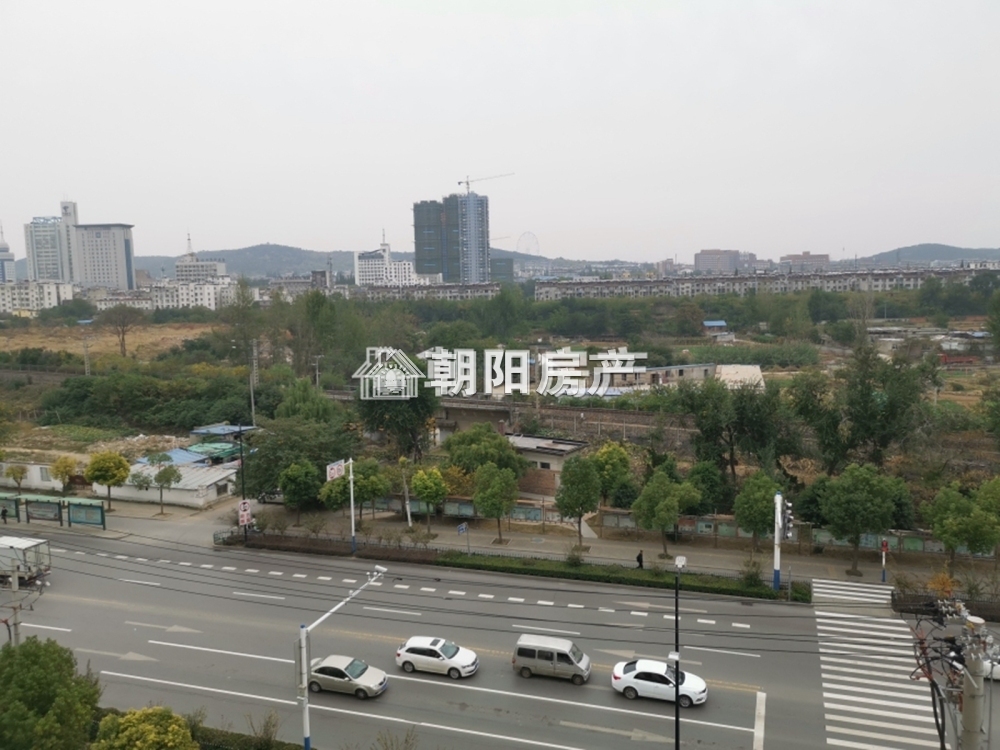 中环国际广场 85平 南向精装两居 满五唯一 学区房